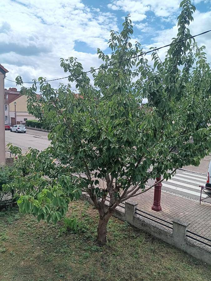 Maison d’hôte pour 2 personnes, avec jardin et vue dans Sarreguemines - 4