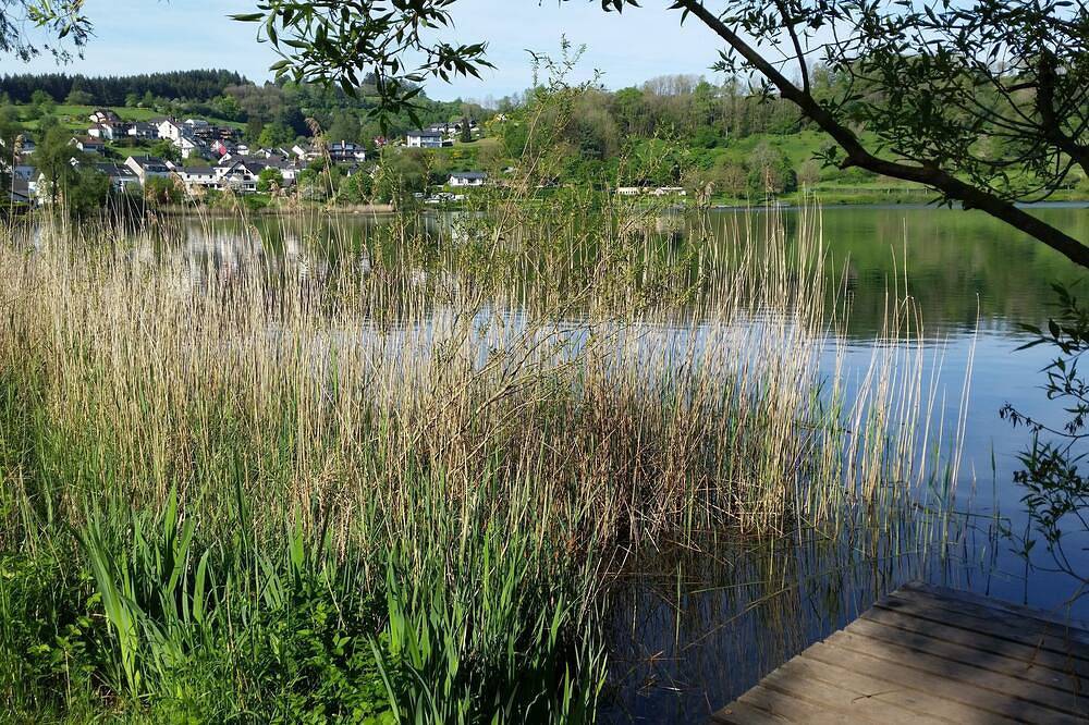 Ferienhaus Eifelhöhe mit Maarpanorama- Erholung pur in der Natur in Schalkenmehren, Vulkaneifel