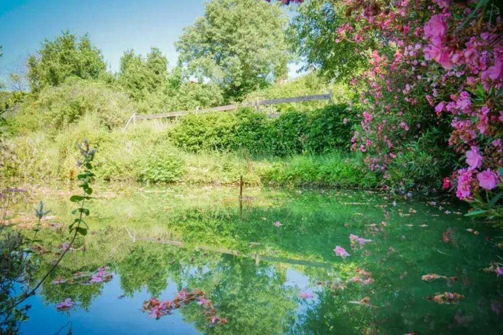 Entire apartment, Homerez - Apartment in Pignans in Pignans, Brignoles region