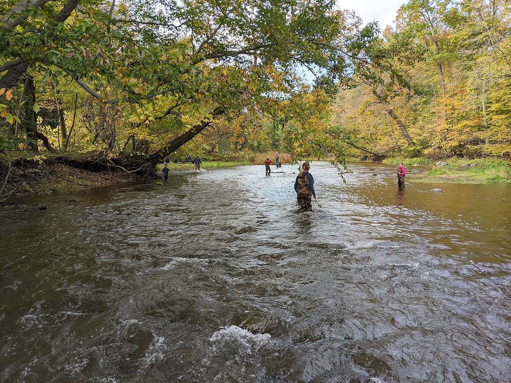 Countryside Cabin on 40 Private Acres Along Johnson Creek in Ontariosee