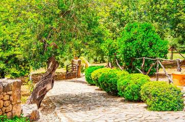 Finca in Campanet, Mallorca Inselmitte für 8 