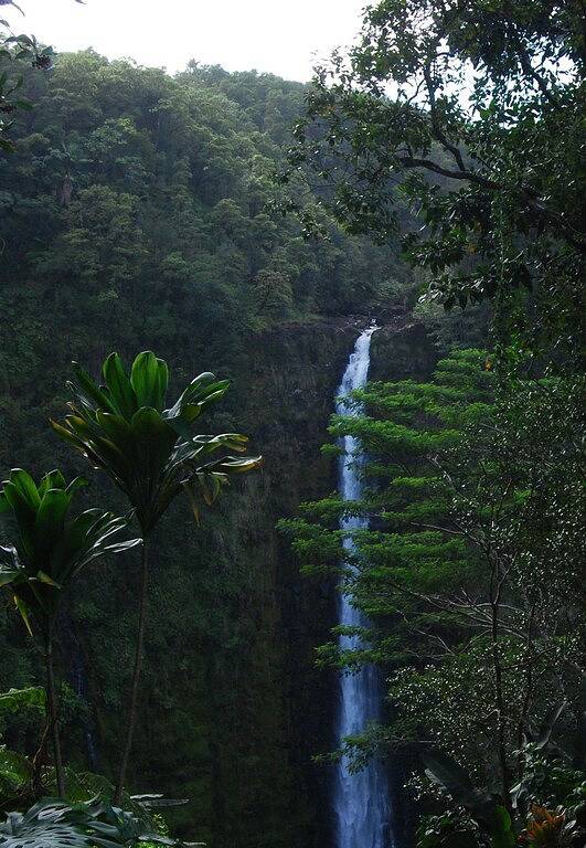 Ganze Wohnung, Schöne Gartenhaus, Hamakua Wasserfall Bezirk, 100% Solar in Nīnole, Hamakua