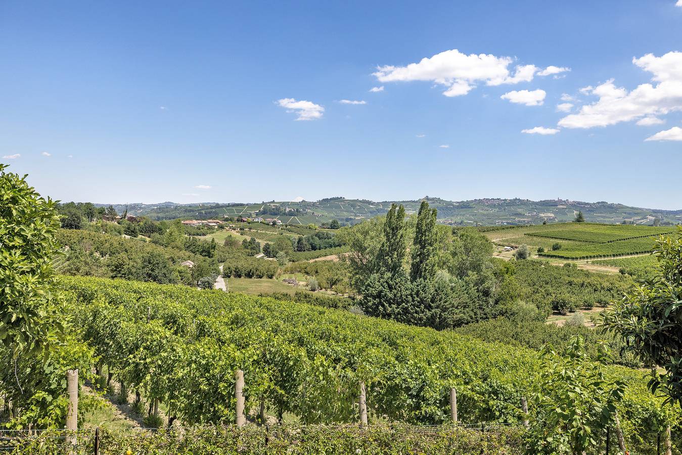 Ganze Wohnung, Ferienwohnung 'Carbone' mit Privatterrasse, Wi-Fi und Klimaanlage in Roddi, Langhe