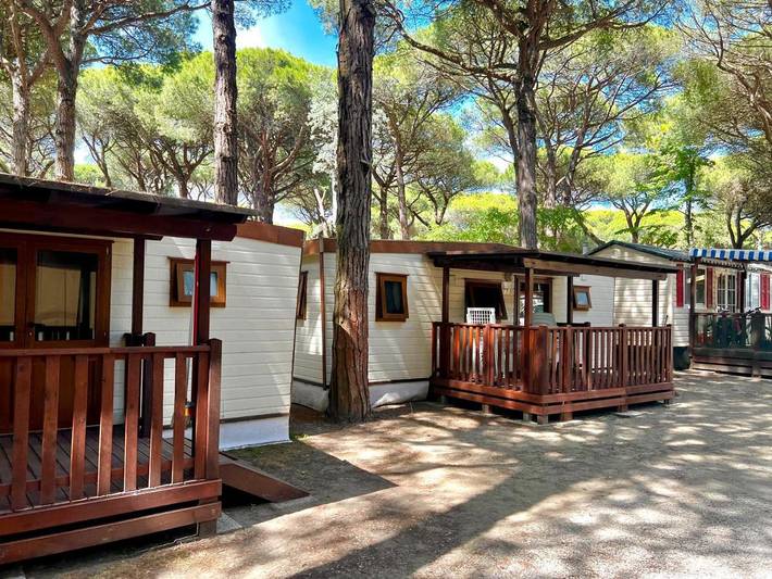 Bungalow per 3 persone, con Terrazza e Idromassaggio nonché Giardino e Piscina a Lido di Spina