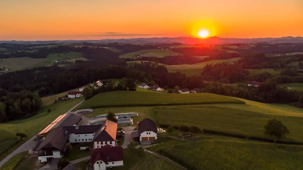 Ganze Ferienwohnung, Ferienwohnung für 4 Personen (65 m²) in Niederwaldkirchen in Niederwaldkirchen, Bezirk Rohrbach