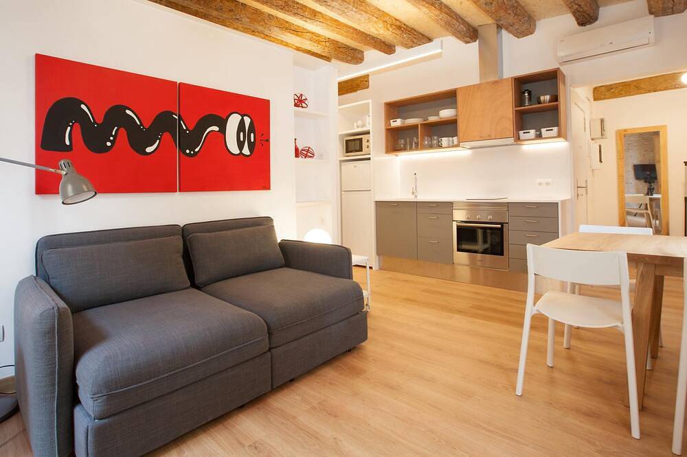 Cozy El Born flat near Picasso museum in Gotisches Viertel, Barcelona
