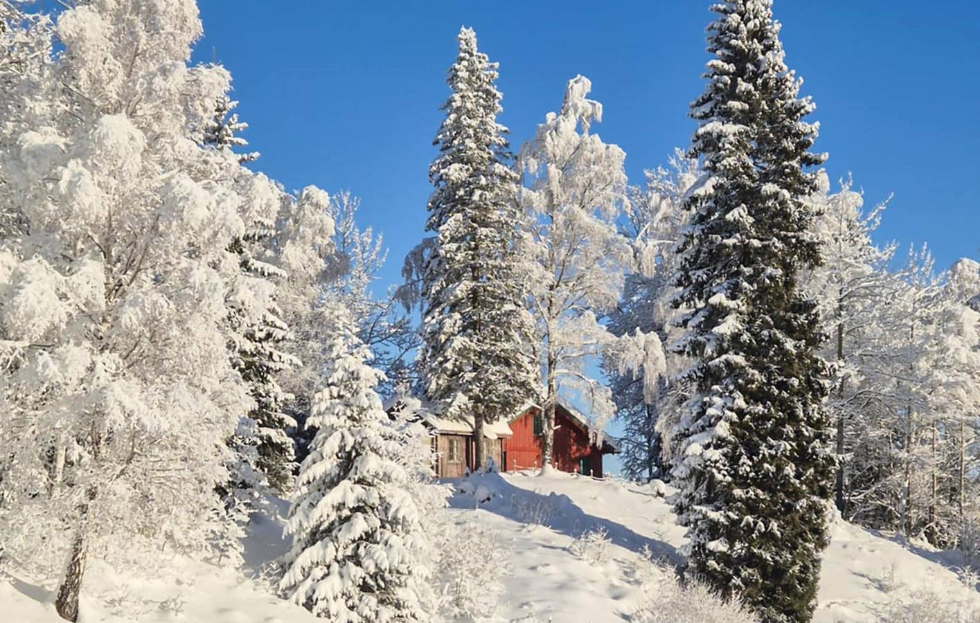 Ferienhaus für 9 Personen mit Garten in Kongsberg