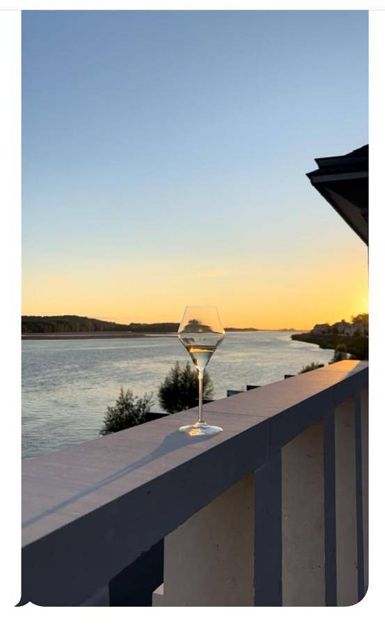 Appartement entier, Les sternes de st Mathurin sur Loire , terrasse sur la Loire in Loire-Authion, Région d'Angers