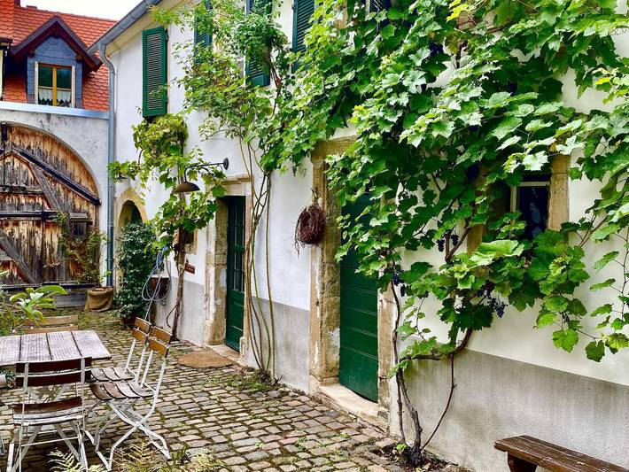 Ferienhaus für 6 Personen, mit Terrasse, mit Haustier in der Pfalz - 4