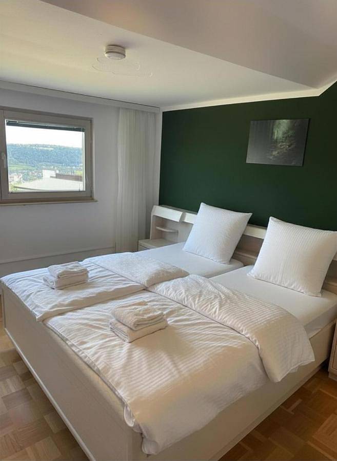 Gîte pour 4 personnes, avec vue, animaux acceptés à Eichstätt - 3