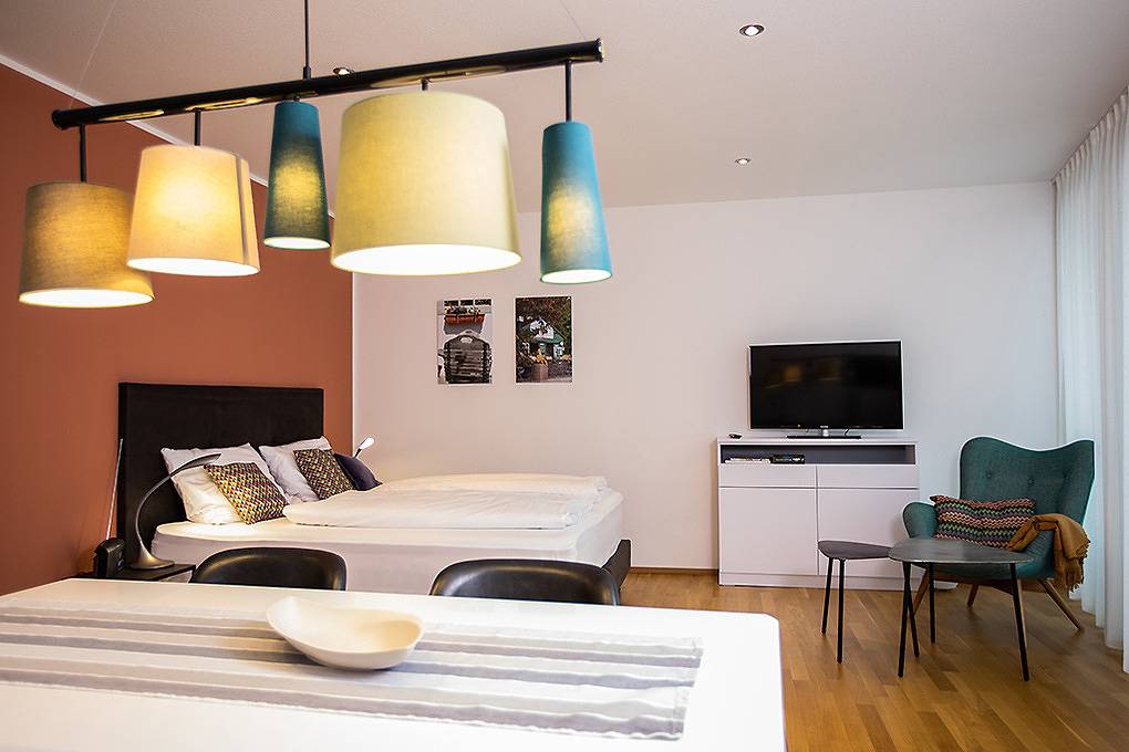 Ganze Ferienwohnung, Ferienwohnung "Höchsten" in Friedrichshafen, Region Bodensee-Oberschwaben