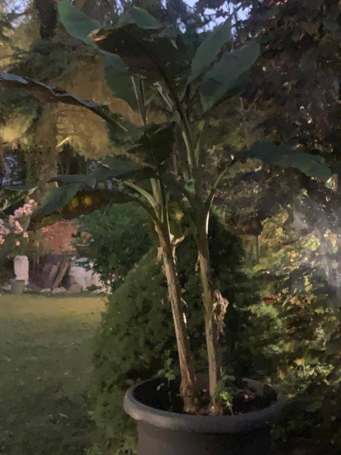 Chambre d’hôte pour 2 personnes, avec Terrasse ainsi que Jardin et Vue