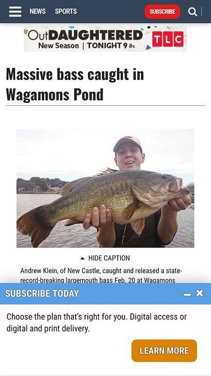 Vacation rental for 8 people, with terrace and yard in Delaware