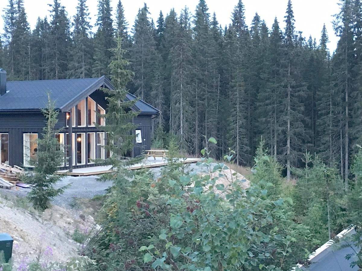 Lillebjørn in Trysilfjellet, Trysil