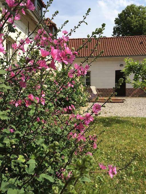 Domaine d'Antigneul in Bours (Pas-de-Calais), Région d'Arras