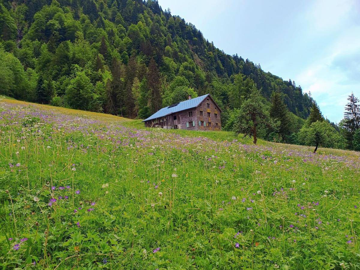 Ferienhütte See 4 in Sonntag, Lechquellengebirge