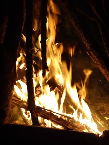 Log Cabin for 6 Guests in Oklahoma, USA, Picture 4