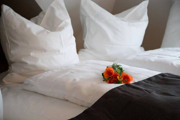 Hôtel pour 2 personnes, avec vue, animaux acceptés à Stuttgart - 4