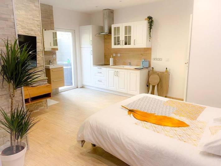 Gîte pour 3 personnes, avec terrasse et jacuzzi à La Roche-Blanche - 4