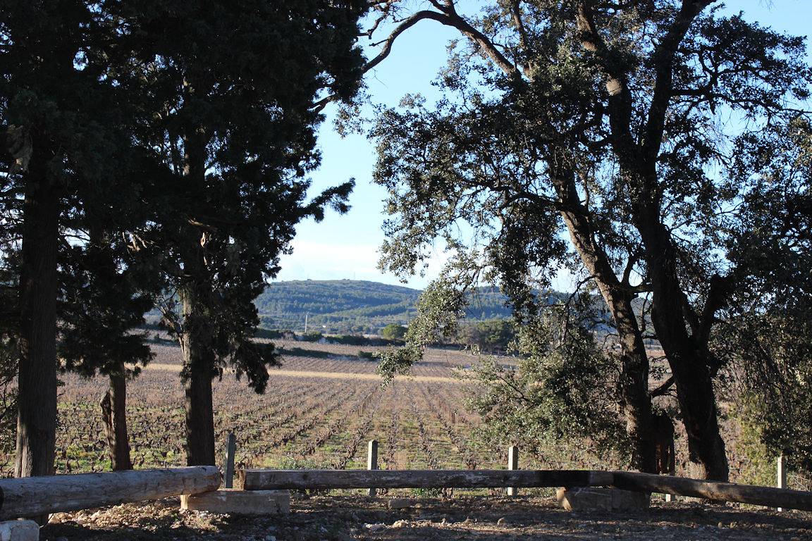 Domaine de Selhac, la campagne au bord de la mer - Chambre 1 in Frontignan, Côte d'Améthyste