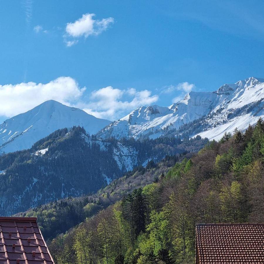 Appartement entier, One-Bedroom Apartment in Brienzwiler, Arrondissement administratif d'Interlaken-Oberhasli