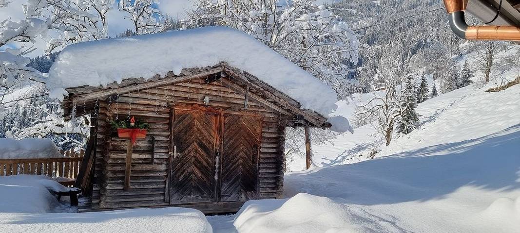 Ferienhaus für 16 Personen, mit Whirlpool und Terrasse sowie Sauna in Bischofshofen - 4