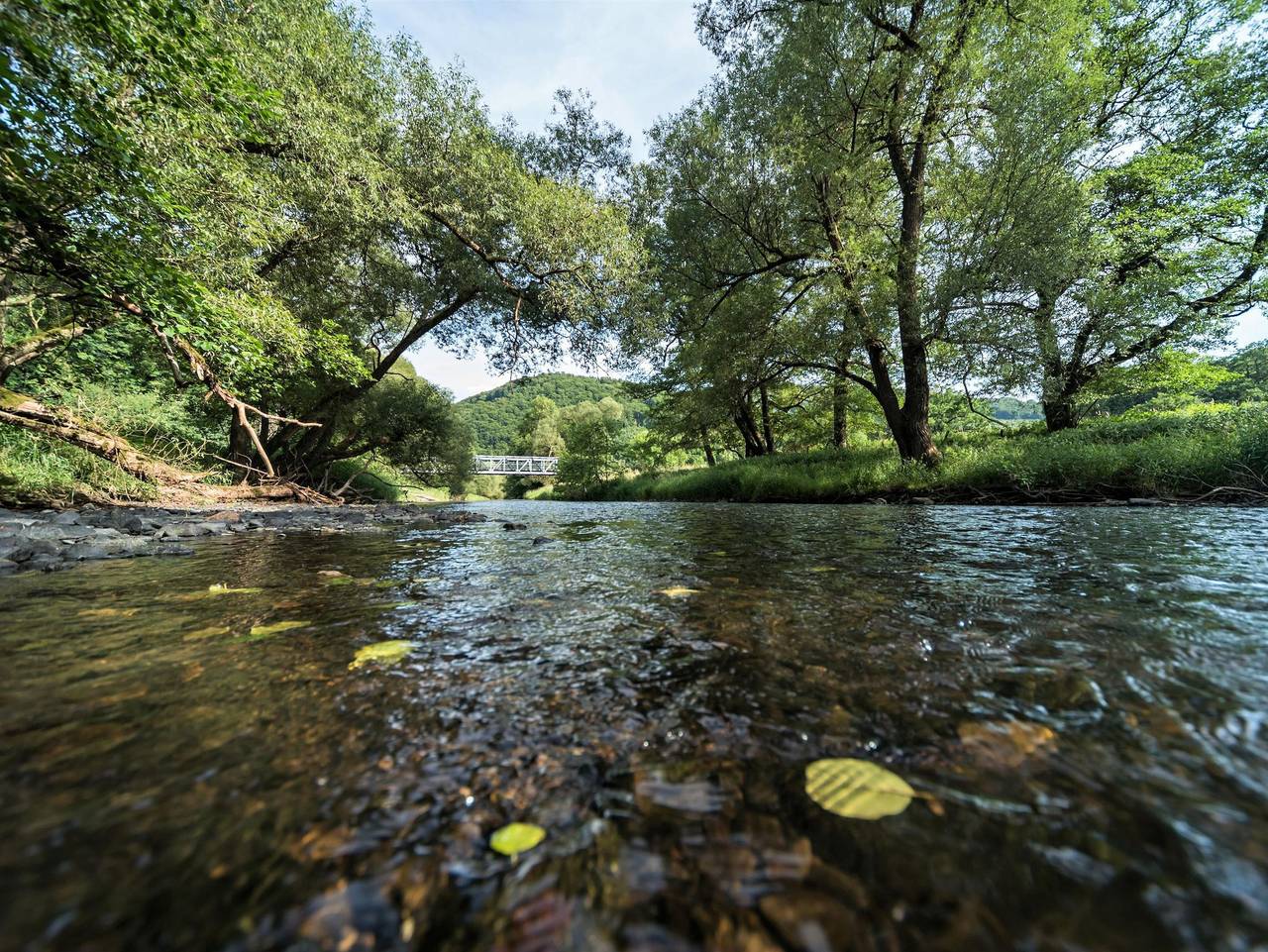Ganze Ferienwohnung, Ferienwohnung "Fritzchens Quartier" - Appartement/Fewo, Dusche und Bad, Wc, 2 Schlafräum in Waldbreitbach, Rheinland-Pfalz