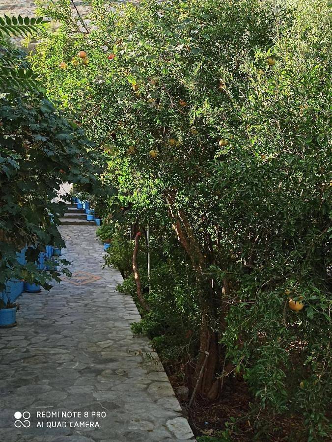 Gîte pour 3 personnes, avec piscine ainsi que vue et jardin, animaux acceptés dans Panormos - 3