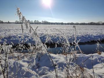 Ferienwohnung für 3 Personen in Byhleguhre-Byhlen, Spreewald, Bild 1