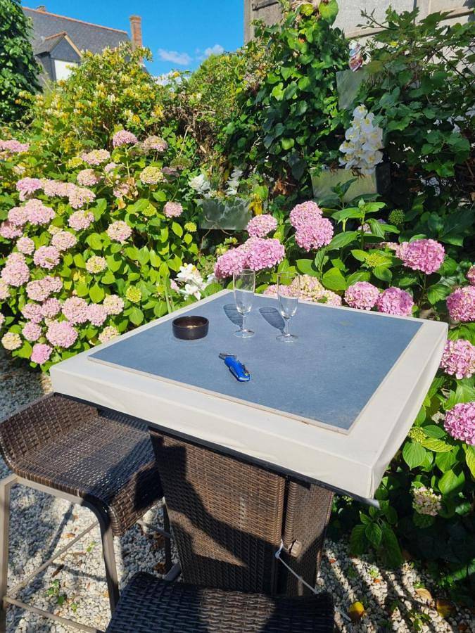 Chambre d’hôte pour 2 personnes, avec jardin et vue à Angers - 3