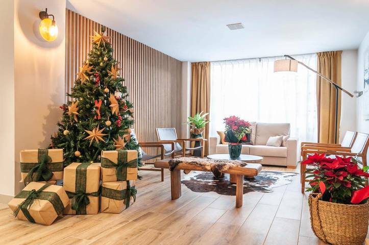 Apartamento para 2 personas en viella e mijaran