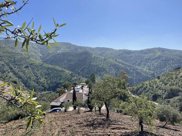 Chambre d’hôte pour 2 personnes, avec vue ainsi que jardin et piscine à Álora - 4