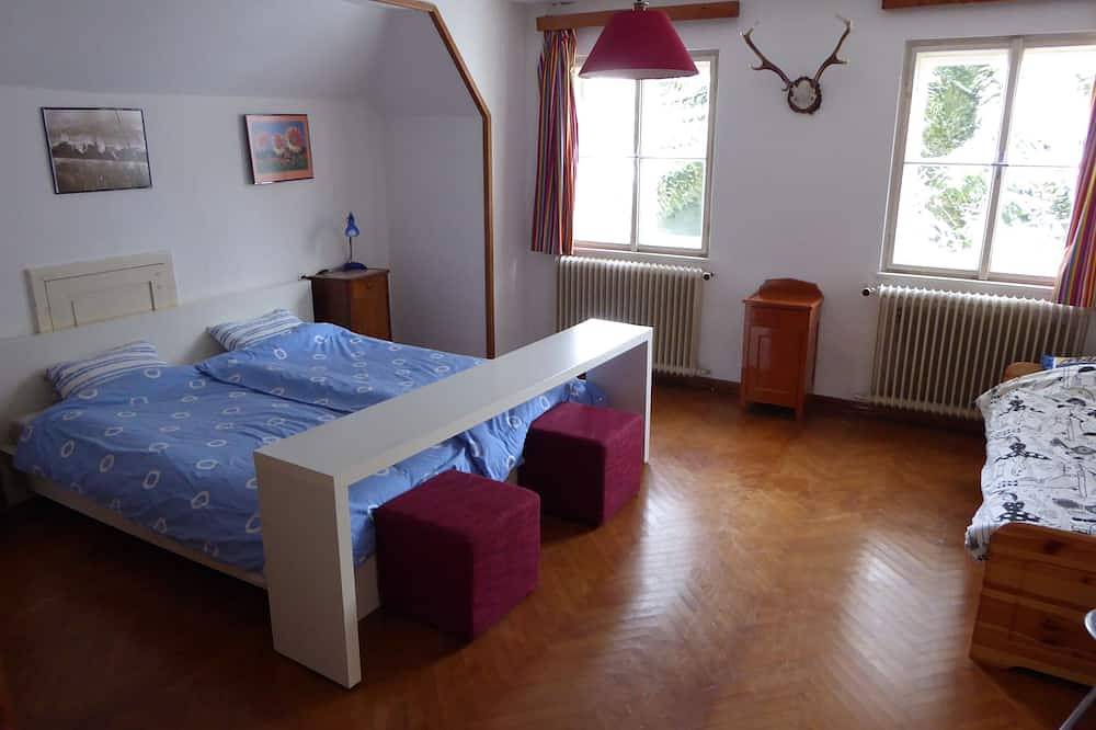Grosses Haus am Rande des Dorfes. Möglichkeiten zum wandern, schwimmen, skifahr in Hollenstein an der Ybbs, Mostviertel Region