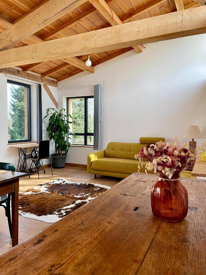 Gîte pour 11 personnes, avec vue ainsi que terrasse et jardin, animaux acceptés à Domaize - 3