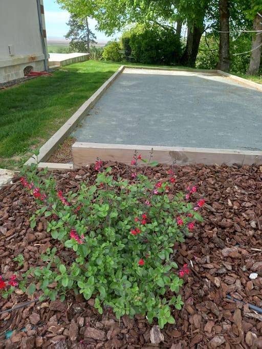 Location de vacances pour 2 personnes, avec jardin et vue ainsi que piscine et bassin pour enfant à Mortagne-sur-Gironde - 3