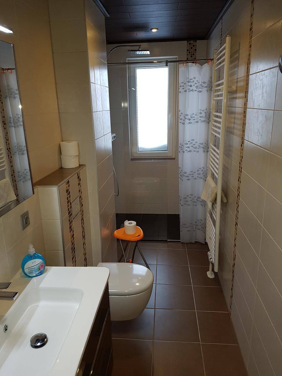 Ganze Ferienwohnung, 3Zi. Fewo in Weitersglashütte mit Grill und Garten in Eibenstock, Erzgebirge