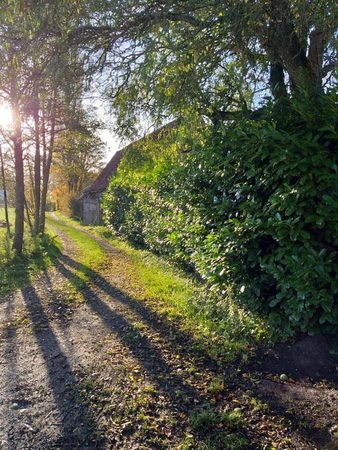 Location de vacances pour 8 personnes, avec vue et jardin, adapté aux familles à Zedelgem - 4