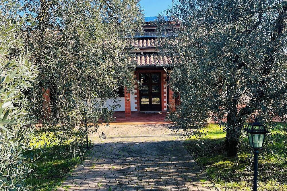 Detached house with swimming pool among the olive groves of Arezzo in Laterina Pergine Valdarno, Chianti