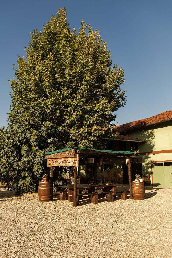 Chambre d’hôte pour 3 personnes, avec piscine ainsi que jardin et jacuzzi à Cisterna d'Asti - 2