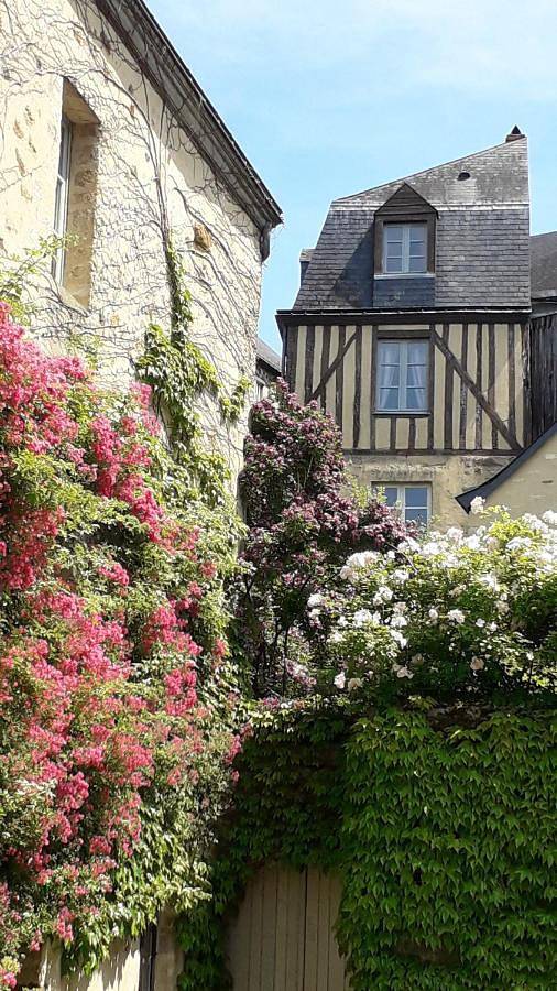 Appartement de vacances pour 3 personnes, avec Vue