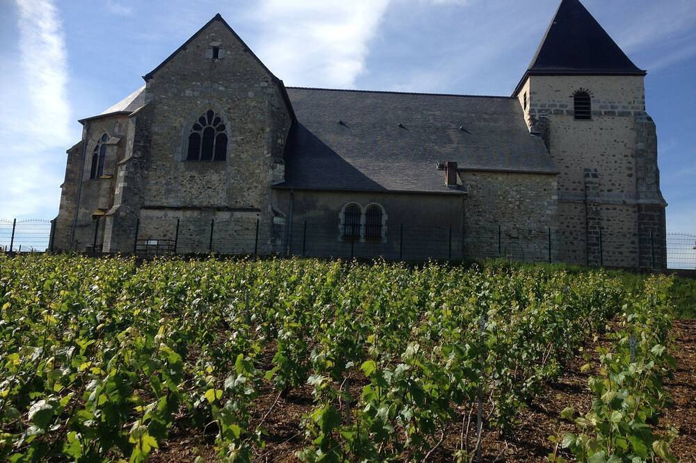 Cottage in the middle of Champagne vineyards in Chavot-Courcourt, Marne