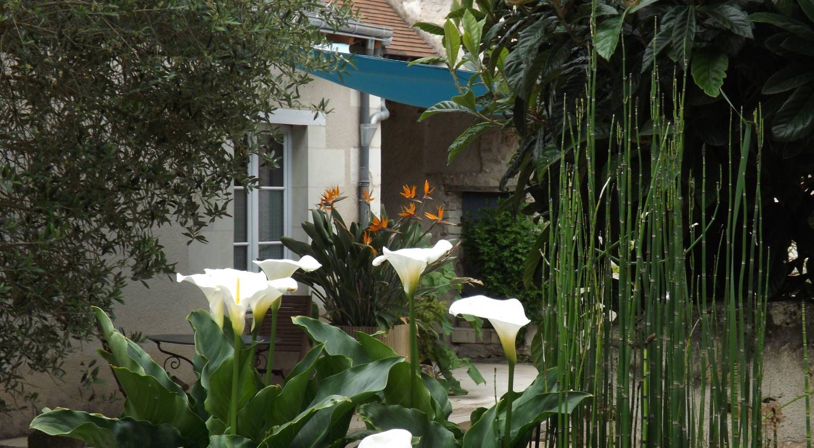 Suite Luzilloise - Suite avec terrasse in Luzillé, Région de Tours