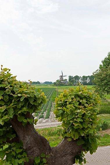 Chambre d’hôte pour 2 personnes, avec sauna ainsi que jardin et vue dans Frise - 4