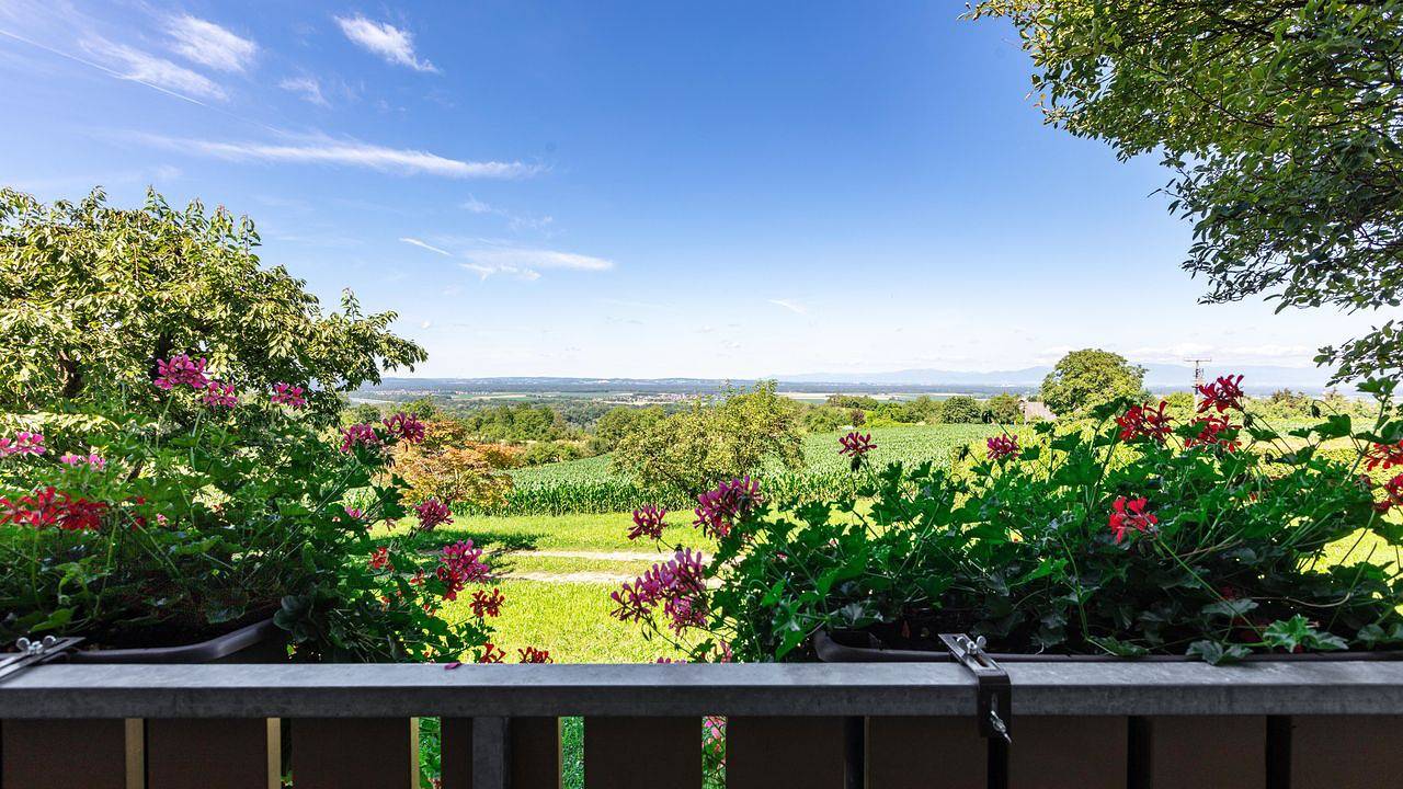 Ganze Ferienwohnung, Ferienwohnung für 4 Personen (52 m²) in Bad Bellingen in Bad Bellingen, Südschwarzwald