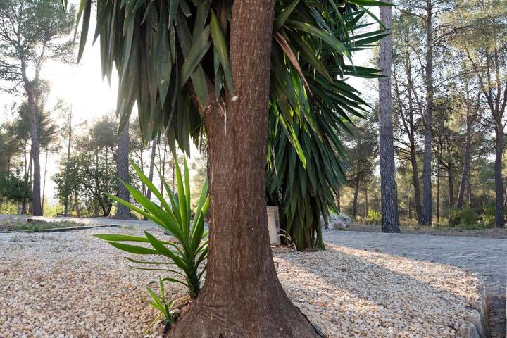 Albergue para 2 personas, con jardín y vistas además de terraza y piscina, Se admiten mascotas en Comunidad Valenciana