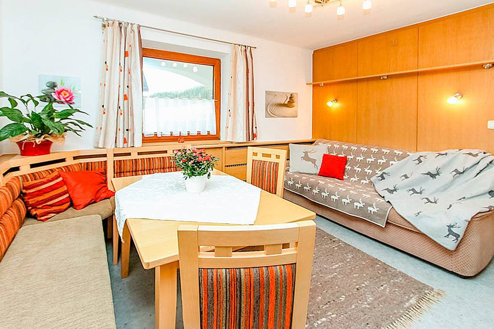 Ganze Ferienwohnung, A 376.016 - Ferienwohnung Rosi in Fieberbrunn, Kitzbüheler Alpen