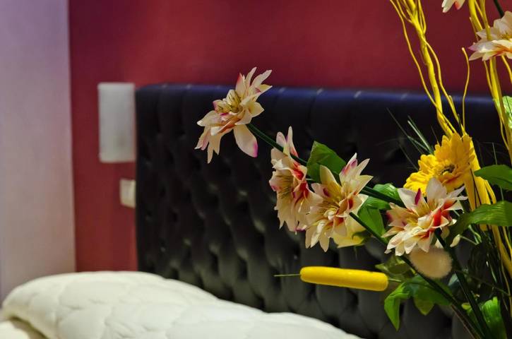 Maison d’hôte pour 2 personnes, avec terrasse, animaux acceptés à San Remo - 4