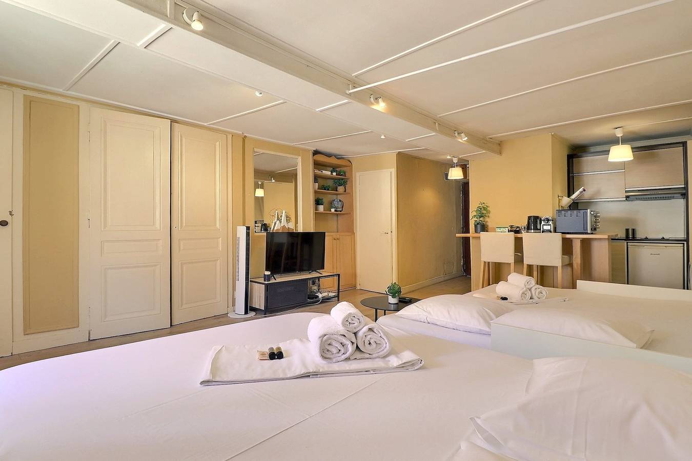 Appartamento intero, Appartamento vacanze per 4 persone in Lione, Lione e dintorni