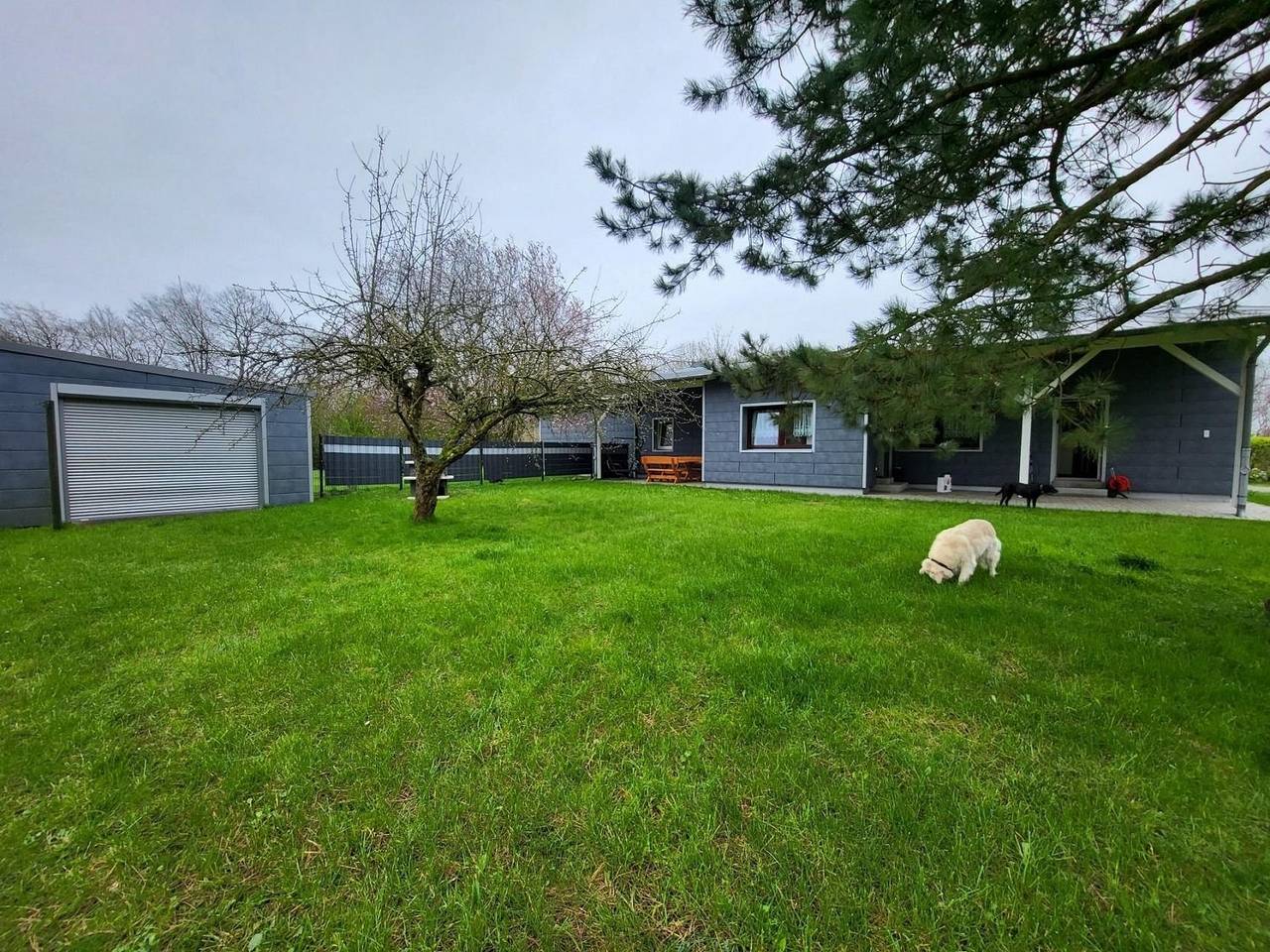 Ganze Ferienwohnung, Lanckensburg - Sylvia in Altenkirchen, Rügen