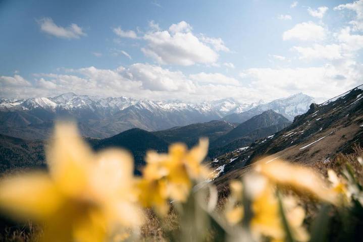 Maison d’hôte pour 2 personnes, avec jardin et vue ainsi que piscine et sauna, animaux acceptés dans les Hautes-Pyrénées - 2